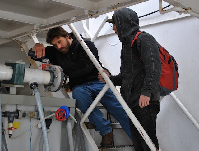 Biological oceanography student Brian Maurer concentrates a water sample to test for zooplankton viability.