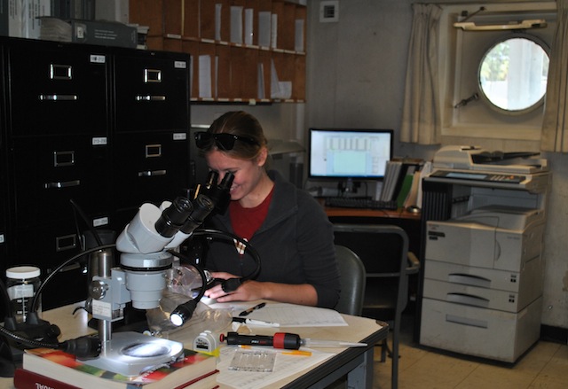 Biological oceanography student Heather Fulton-Bennet counts live zooplankton under a microscope on the TS Golden Bear