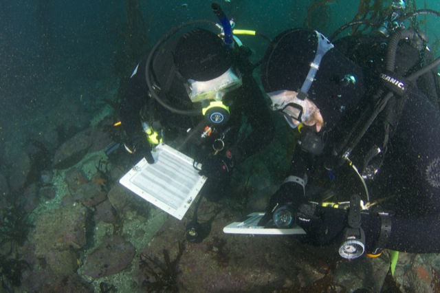 Two students in the subtidal ecology class are on an identification survey, trying to learn different fish, algae and invertebrates in Monterey Bay.