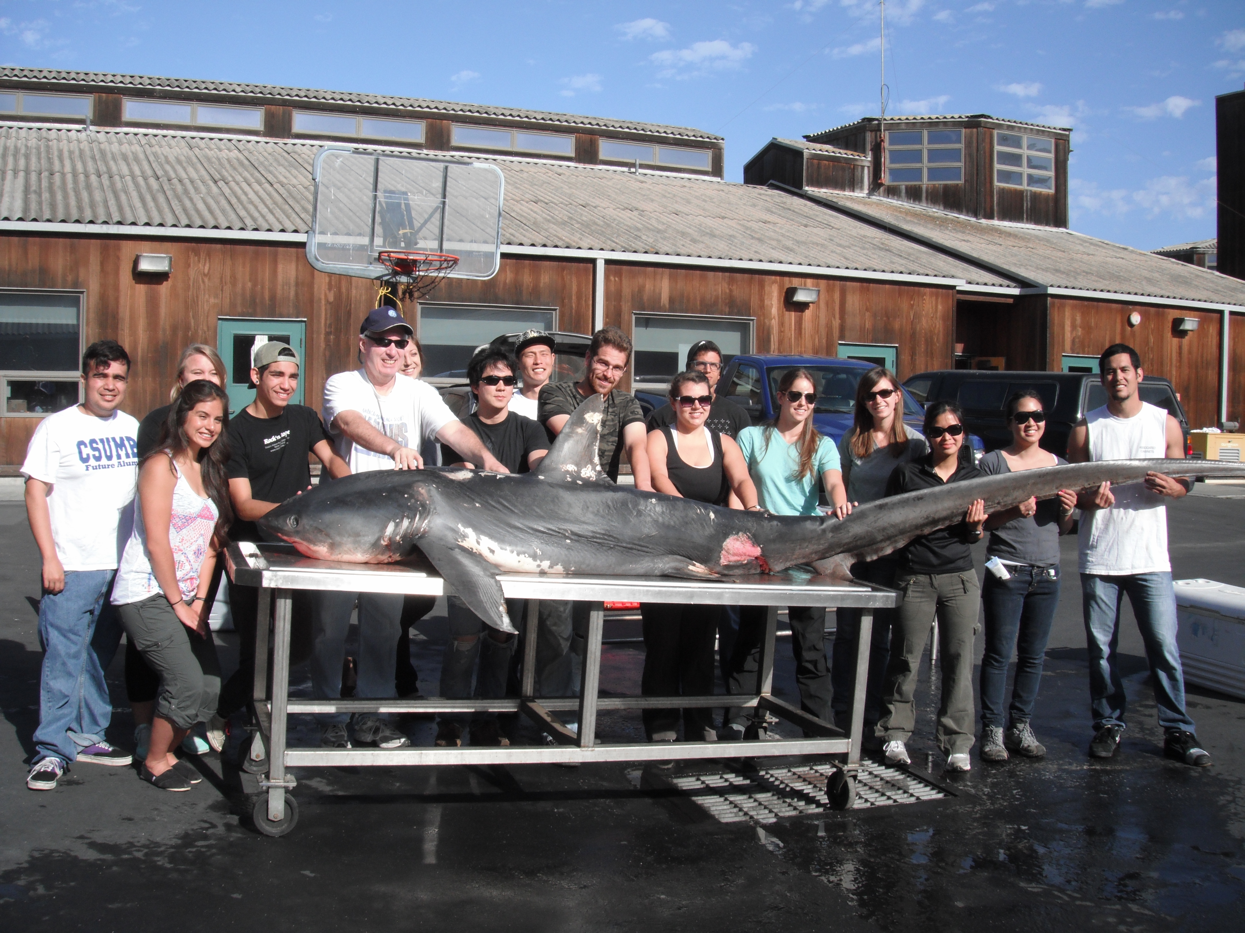 Program Director, Dave Ebert, PSRC students, and UROC students posing with the thresher shark