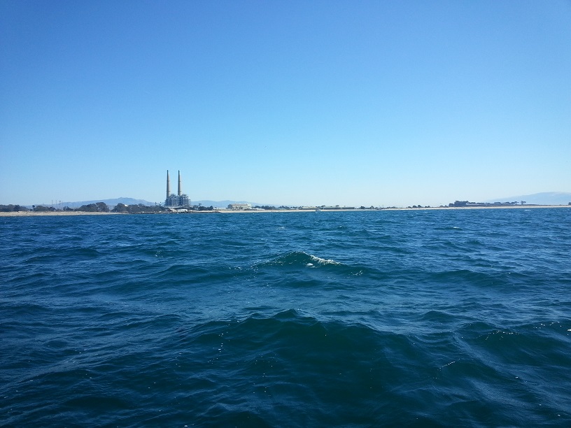 Heading home to the Moss Landing harbor. While we technically could have asked for better weather, it really just would have been greedy.