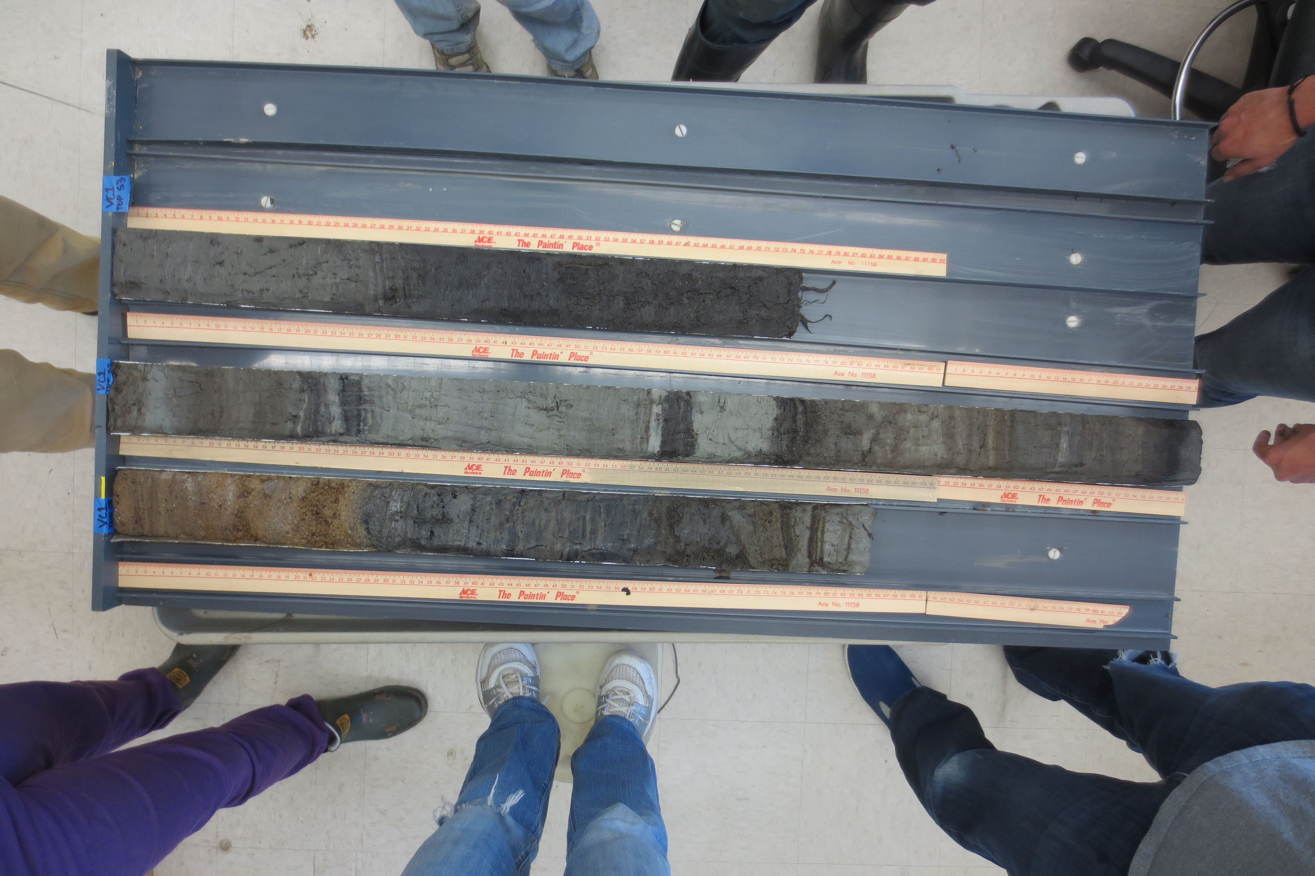 One of the cores from Pescadero Point after it has been sliced and sectioned for analysis. Photo by: Christina Volpi.