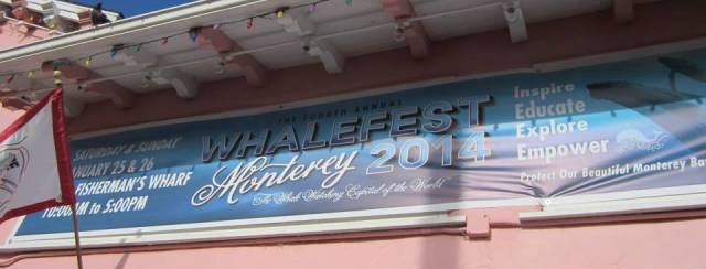 Whalefest banner 2014