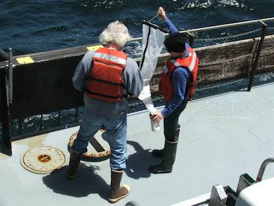 MLML phycology student Heather Fulton-Bennett collecting zooplankton in a small net with MBARI Research Technician Patrick Whaling. Photo: Larissa Clary/MBARI 2013