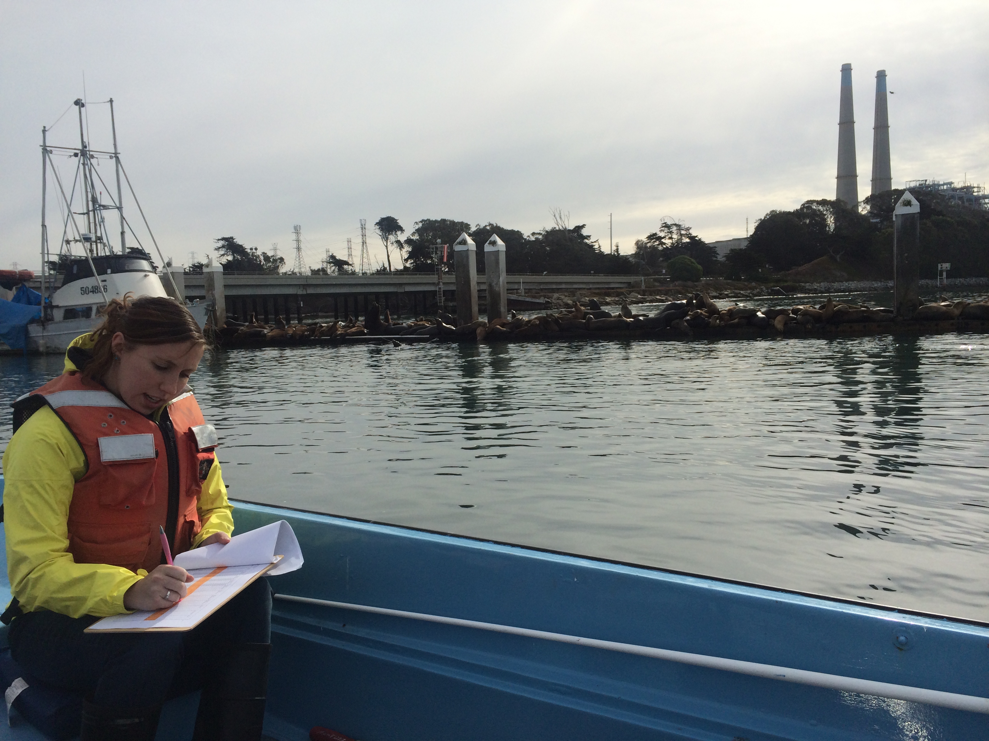 Emily recording CTD measurements