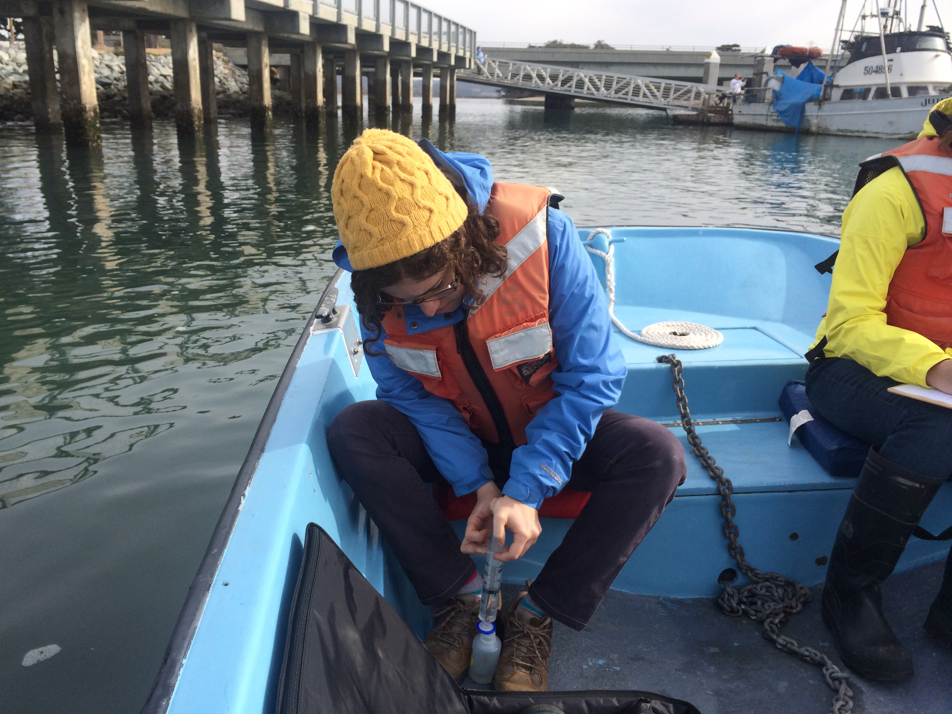 Marisa filtering seawater