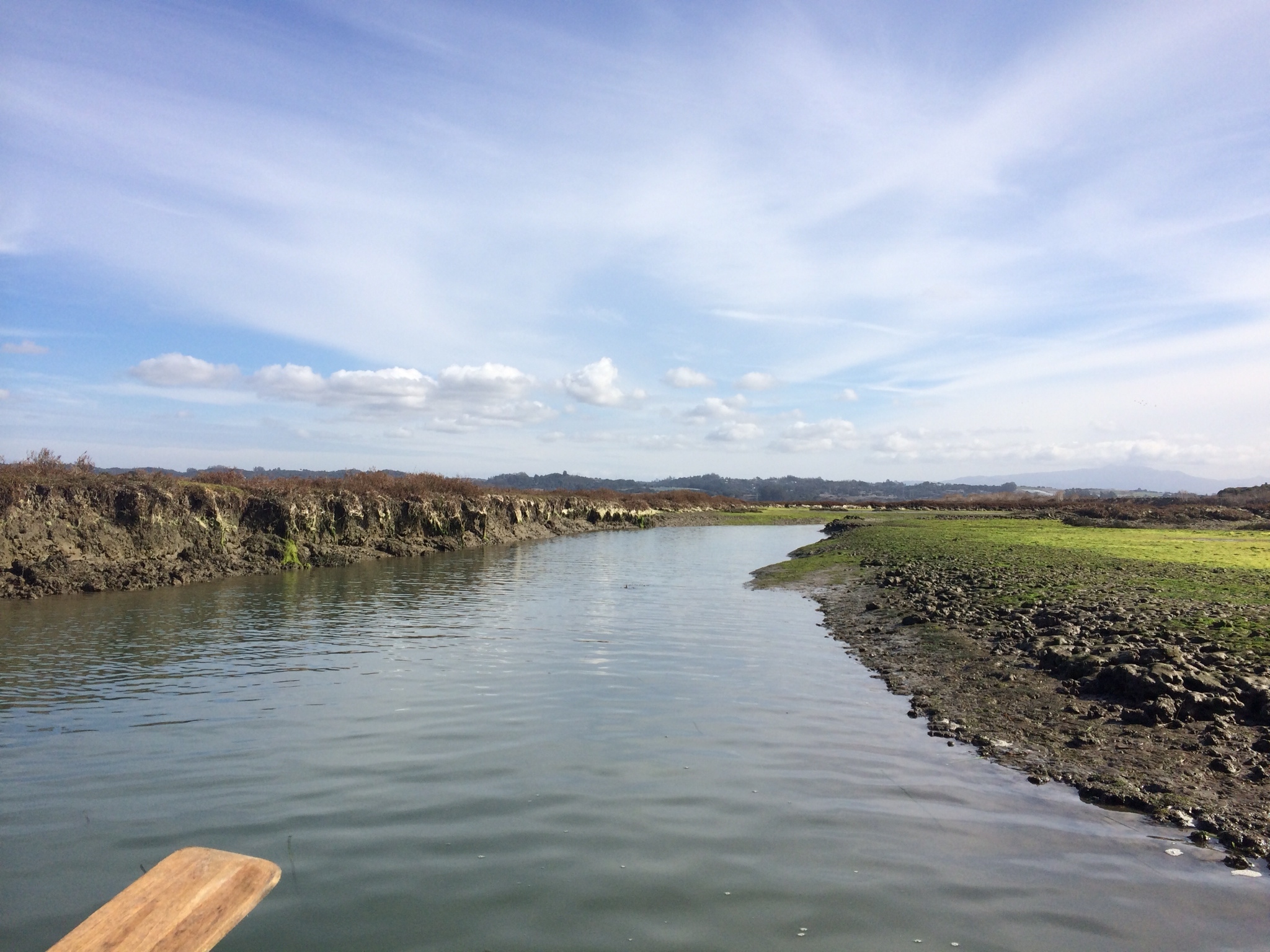 Beautiful Elkhorn Slough, photo by Jennifer Chiu