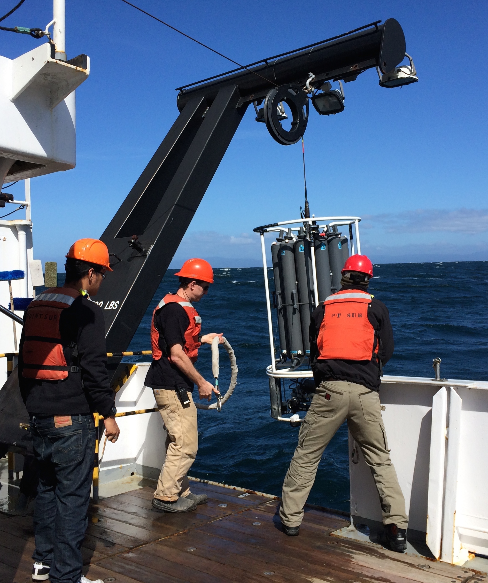 Biological oceanography students help deploy the CTD