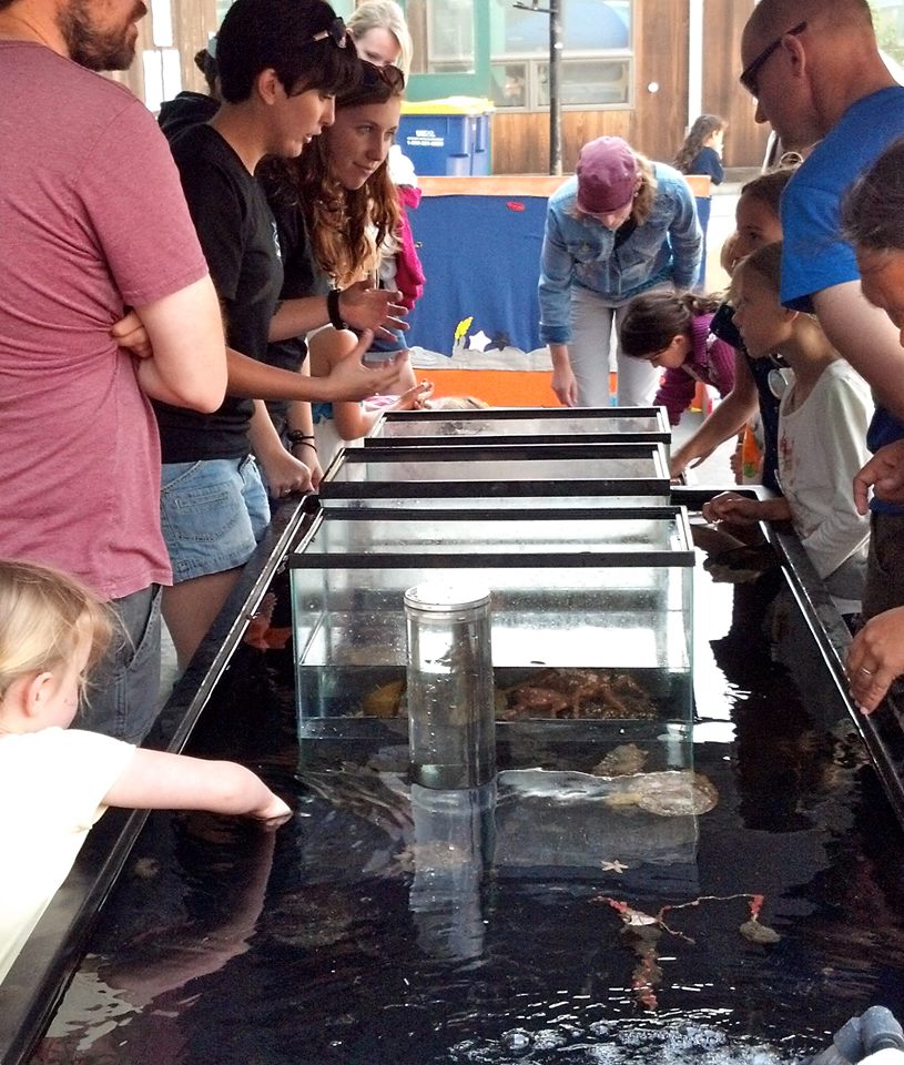 Graduate students Melinda Wheelock and Emily Schmeltzer, educate visitors about the wonderful world of invertebrates! Photo Credit: Heather Kramp