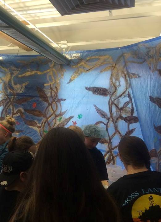 The phycology lab and their painted kelp forest attracts visitors. Or was it the ice cream? Photo Credit: Heather Kramp