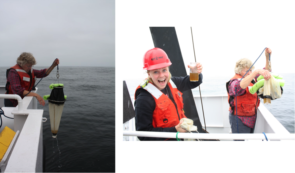 (Left) Sara Tanner reels in the neuston tow. (Above) Graduate Student Holly Chiswell is rather pleased with her sample. (Photos by Diana Steller)