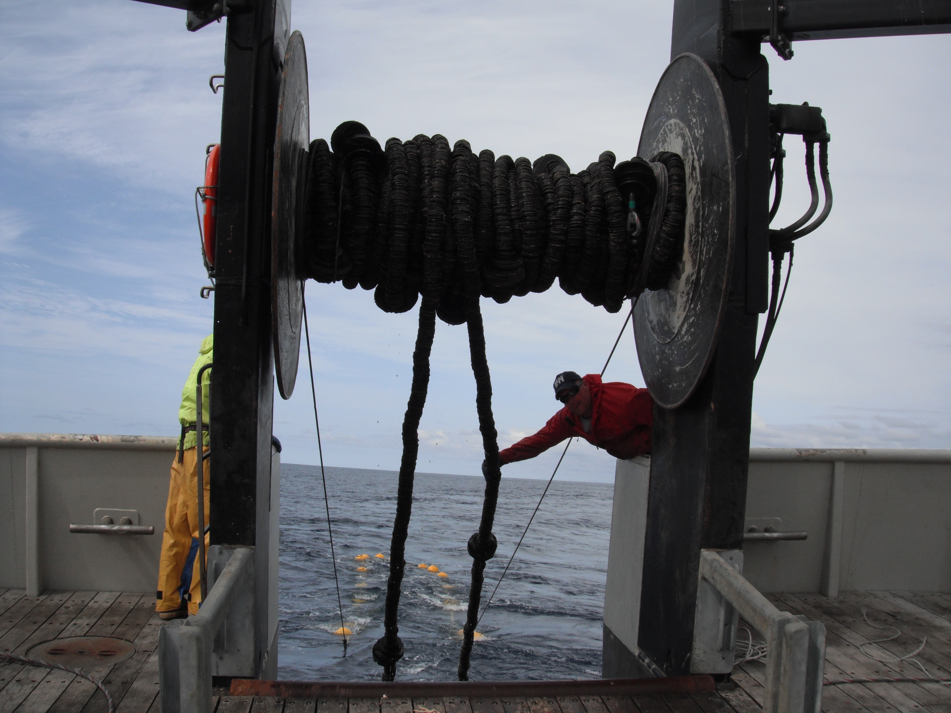 Hauling the catch back up. Old tires were used to make up the 'cookies' used to for the trawl net