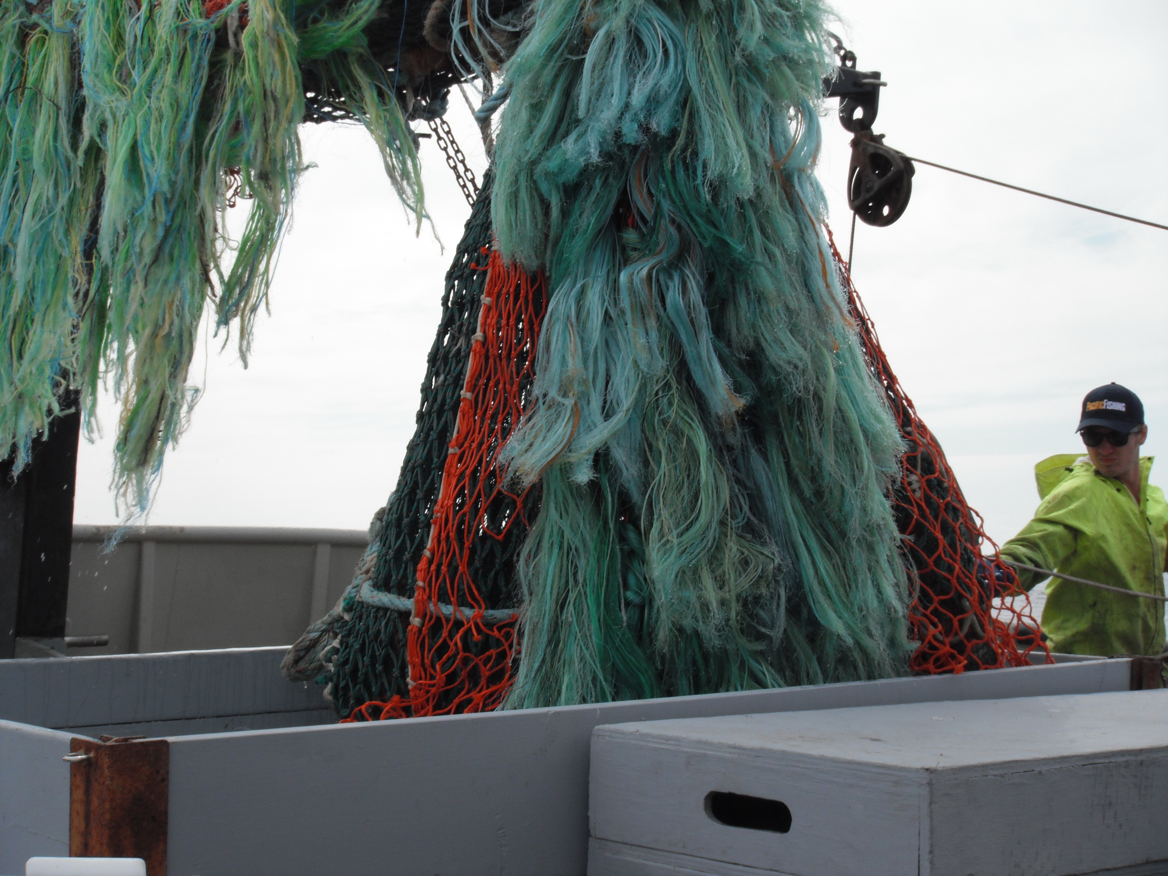 Unloading the catch from a deep trawl.