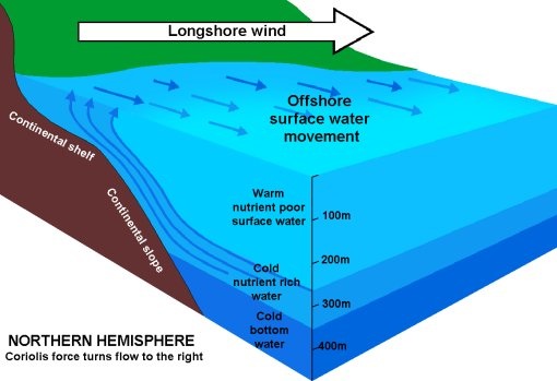 upwelling_north