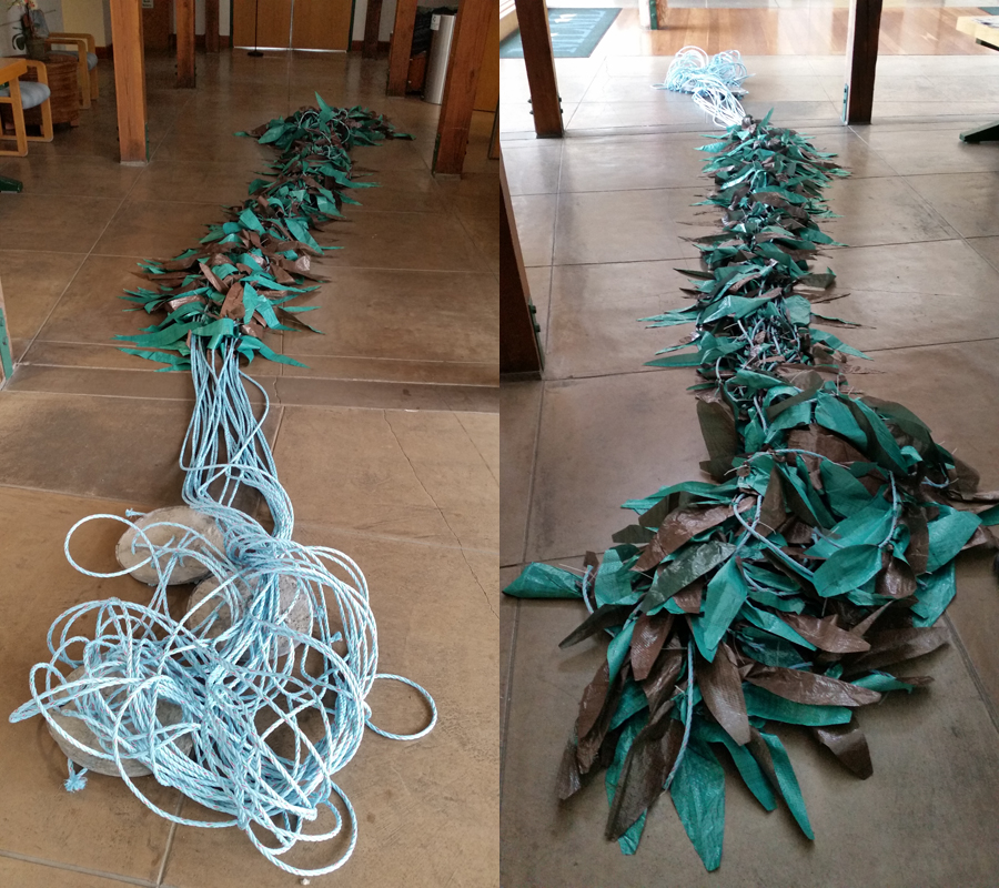 From the holdfast to the canopy, Steven Cunningham designed this kelp to mimic Macrocystis pyrifera