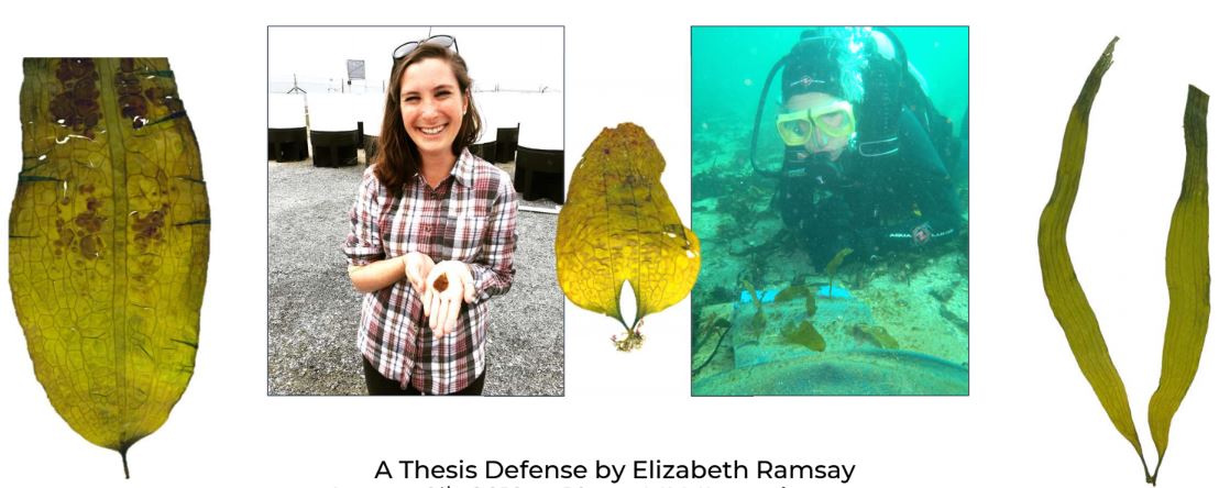 Elizabeth Ramsay_defense