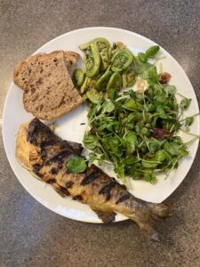 Photo of cooked trout dinner