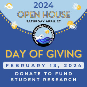 Dive into Generosity: Moss Landing Marine Laboratories’ Day of Giving 2024