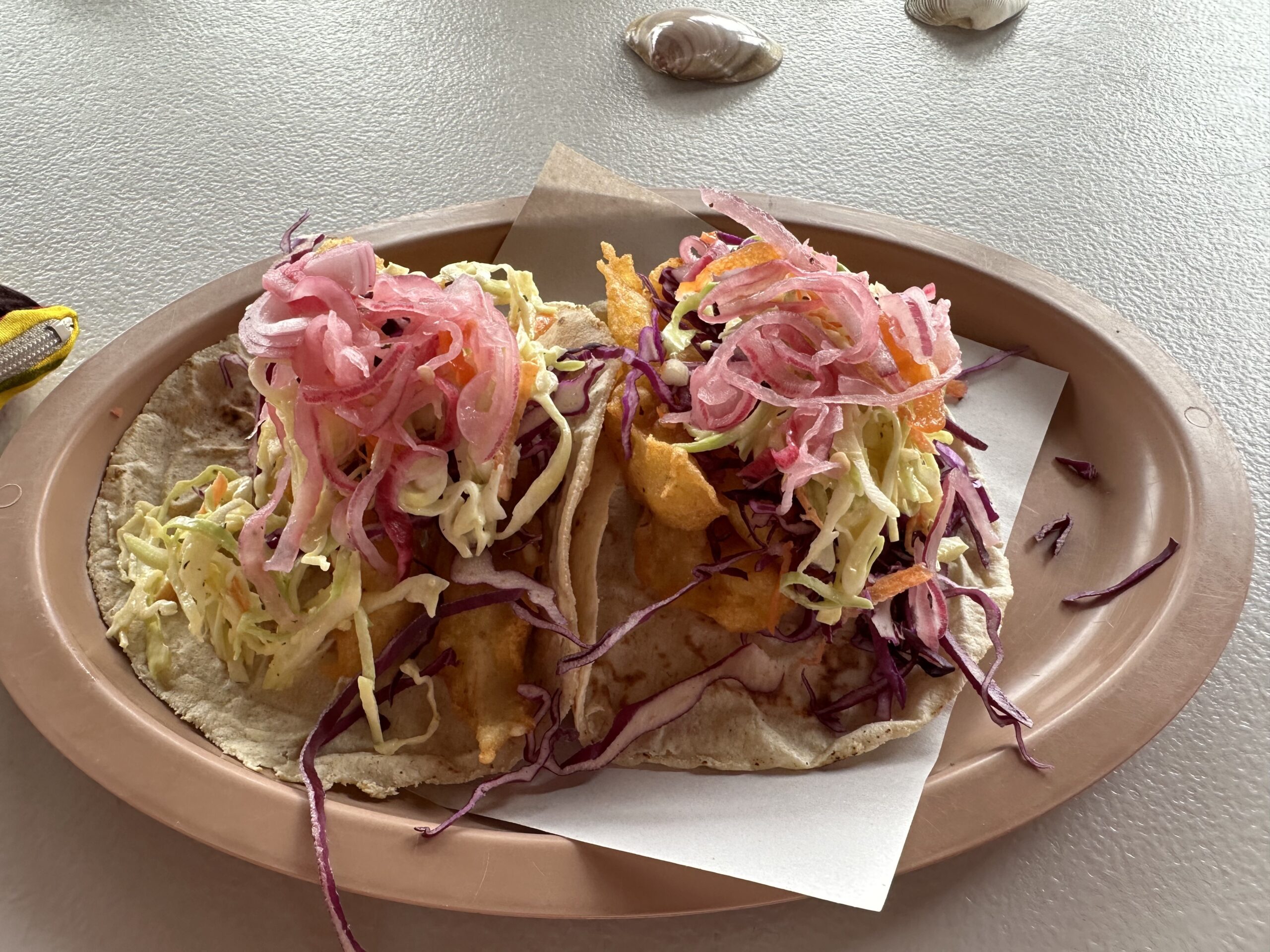 Comida Y Familia—Culinary Chronicles from the MLML Baja Class