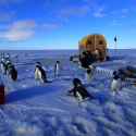 The Benthic Lab in Antarctica