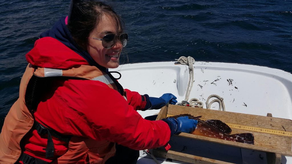 Sjsu cs thesis image