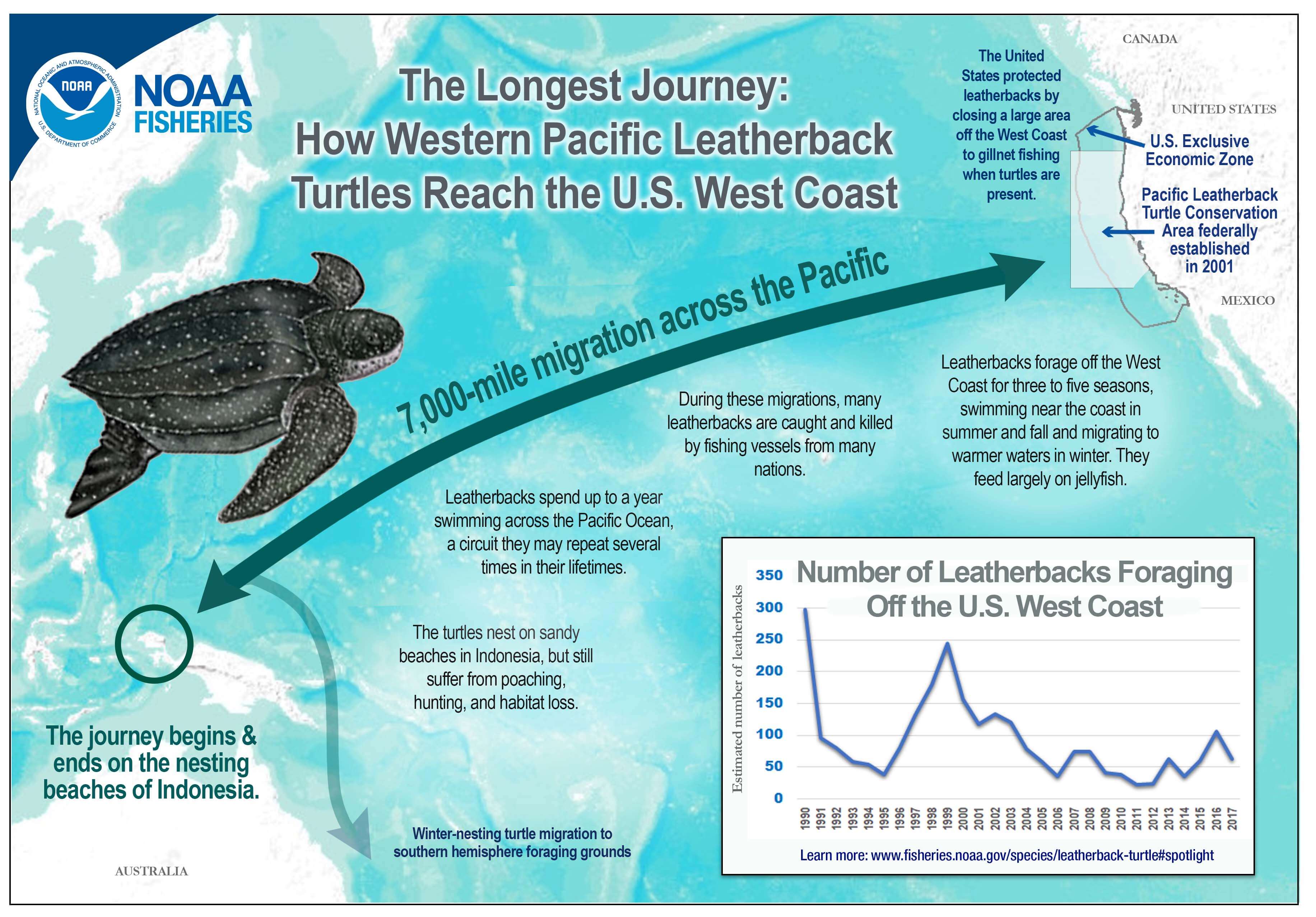 Photo credit: NOAA Fisheries/Southwest Fisheries Science Center