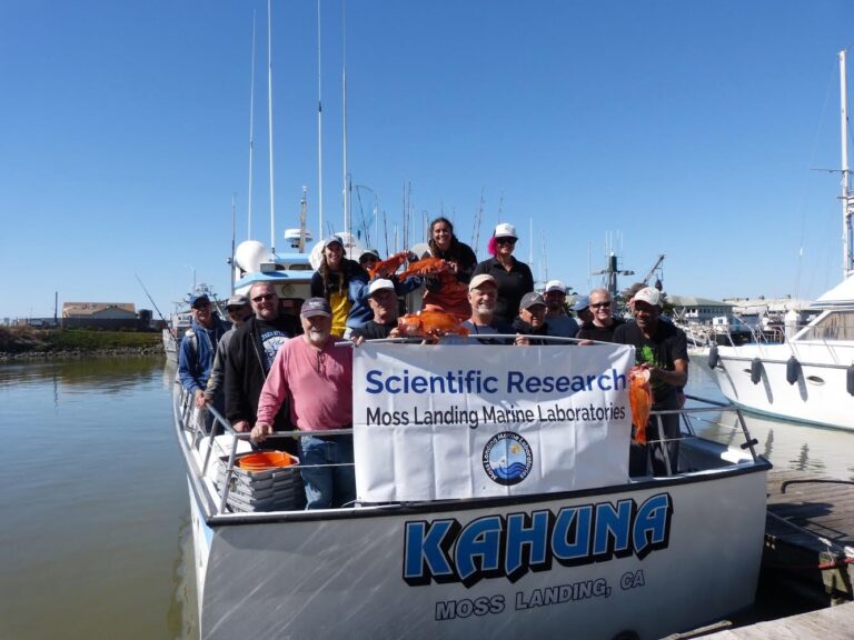 Sjsu scholarworks picture