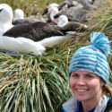 Virtual Seminar – Flying for free? Understanding the role of wind variability in albatross foraging energetics – November 4