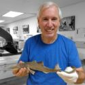 Seminar – Jaws, Lost Sharks, and the Legacy of Peter Benchley – September 29th