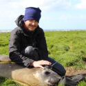 Seminar – Characterization and modeling of the Southern elephant seals’ vertical habitat