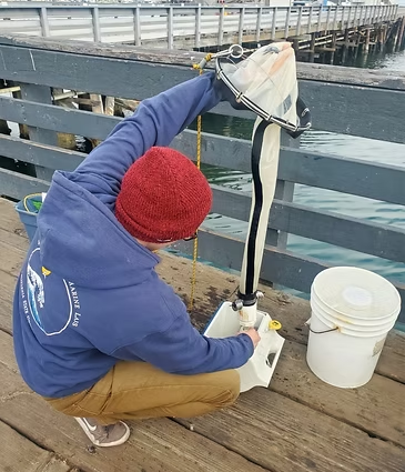 Net tow off the Monterey Wharf— backyard science at its finest.