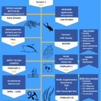 Application Assistance