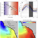 New Research Illuminates Hidden Impacts of Ocean Heatwaves on Sea Urchin Reproduction