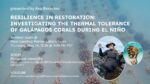 Ava Besecker’s Thesis Defense – May 14th at 2PM (PST)
