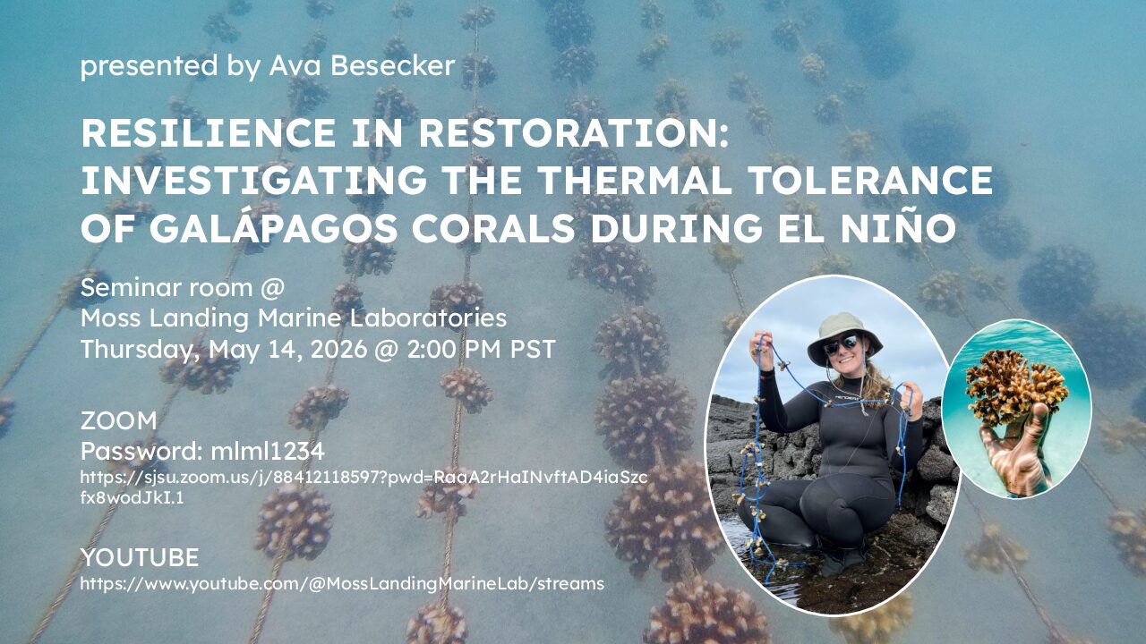 Ava Besecker’s Thesis Defense – May 14th at 2PM (PST)