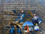 Roxanne Garibay’s Thesis Defense: May 7th