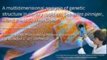 Parker Malhotra Thesis Defense – Friday, August 21 @ 1 PM (PST)