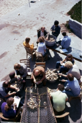 Counting clams at MLML; 11 Jun 1975. Dr. Nybakken seated at top of photo, Vidya Narine at very top of photo, Andrea (Purdue) McDonald (with clipboard) seated on bench by coffee cups, Terry Eckhart (yellow shirt), Kathy Casson (blue shirt lower left), Mark Stephenson (blue shirt, extreme right), Jim Barry (curly blond hair, Lynn Krasnow (seated to Jim's right recording data). We can't ID the others.