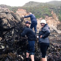 Transplanting seaweeds with Cody, Angela, and Steve at Soberanes