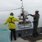 Mary Gleason and I recovering the video lander on board the /V Donna Kathleen