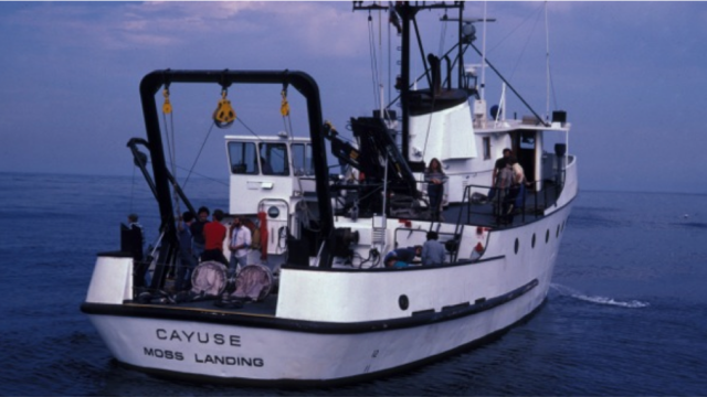 R/V Cayuse (1979 - 1986): 80 feet, 7 crew, 8 scientists. Cruises to Canada, Mexico, Hawaii. First UNOLS vessel operated by MLML.