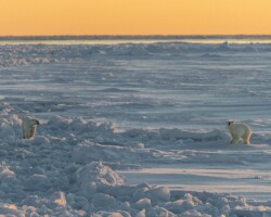 MLML was awarded 48 grants