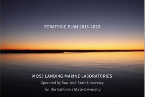 Read our 5 year strategic plan here